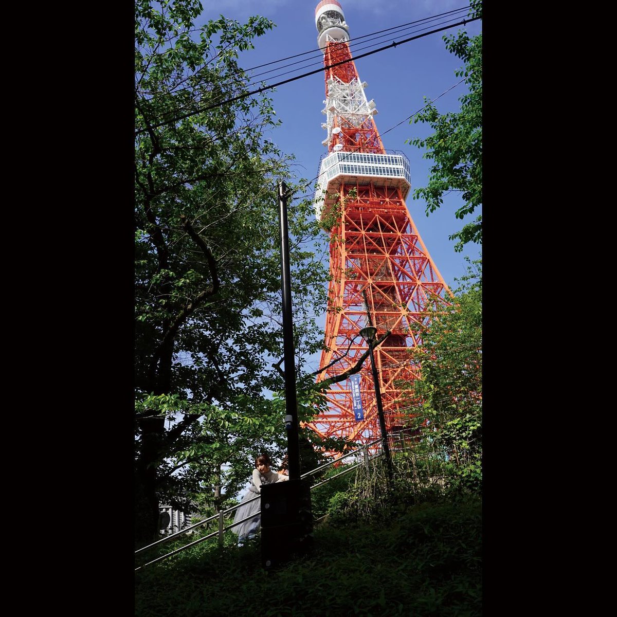 日本は６０年に及ぶ【減塩政策】を行ってます。

骨の異常の話

体臭の話

がTL流れてくるんですよね！

骨の強度はナトリウムです

筋肉はマグネシュウムとカルシュウムで動く

細胞の代謝はナトリウム・カリウム・ポンプ

全部、海塩【自然塩】に入ってます。