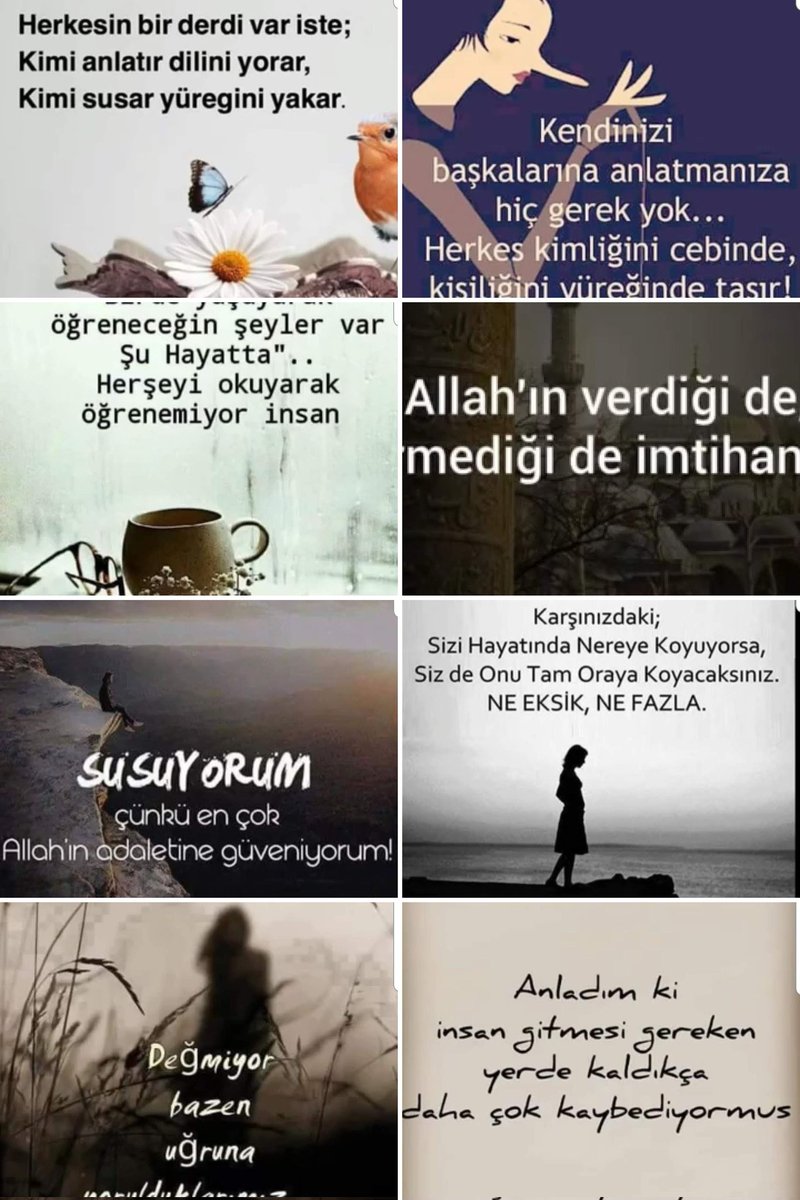Abdulnasır Çetin tweet media
