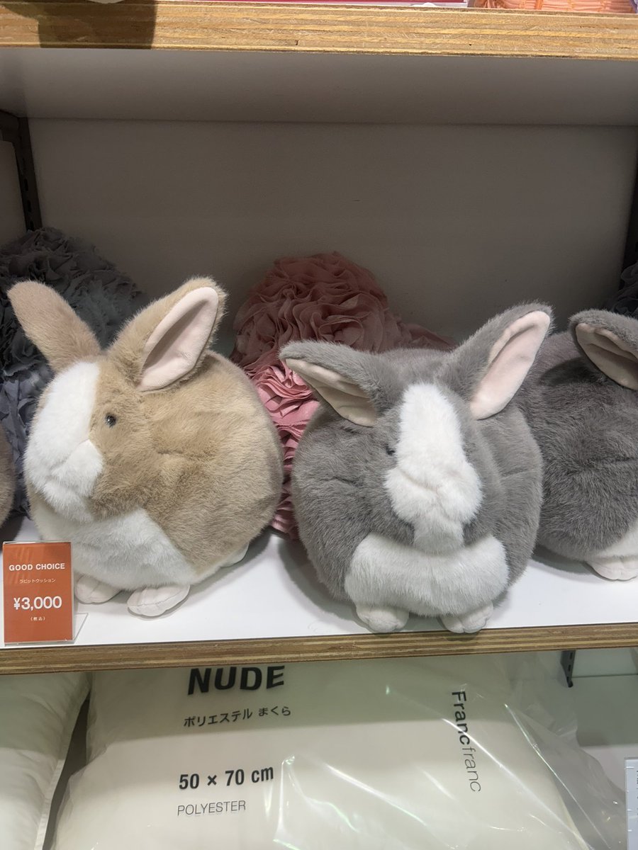 ずっと気になっていたFrancfrancのうさぎを狩りに来たのだ