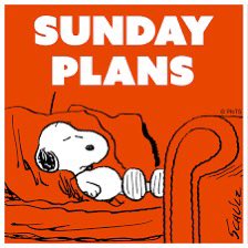 SUNDAY 
PLANS