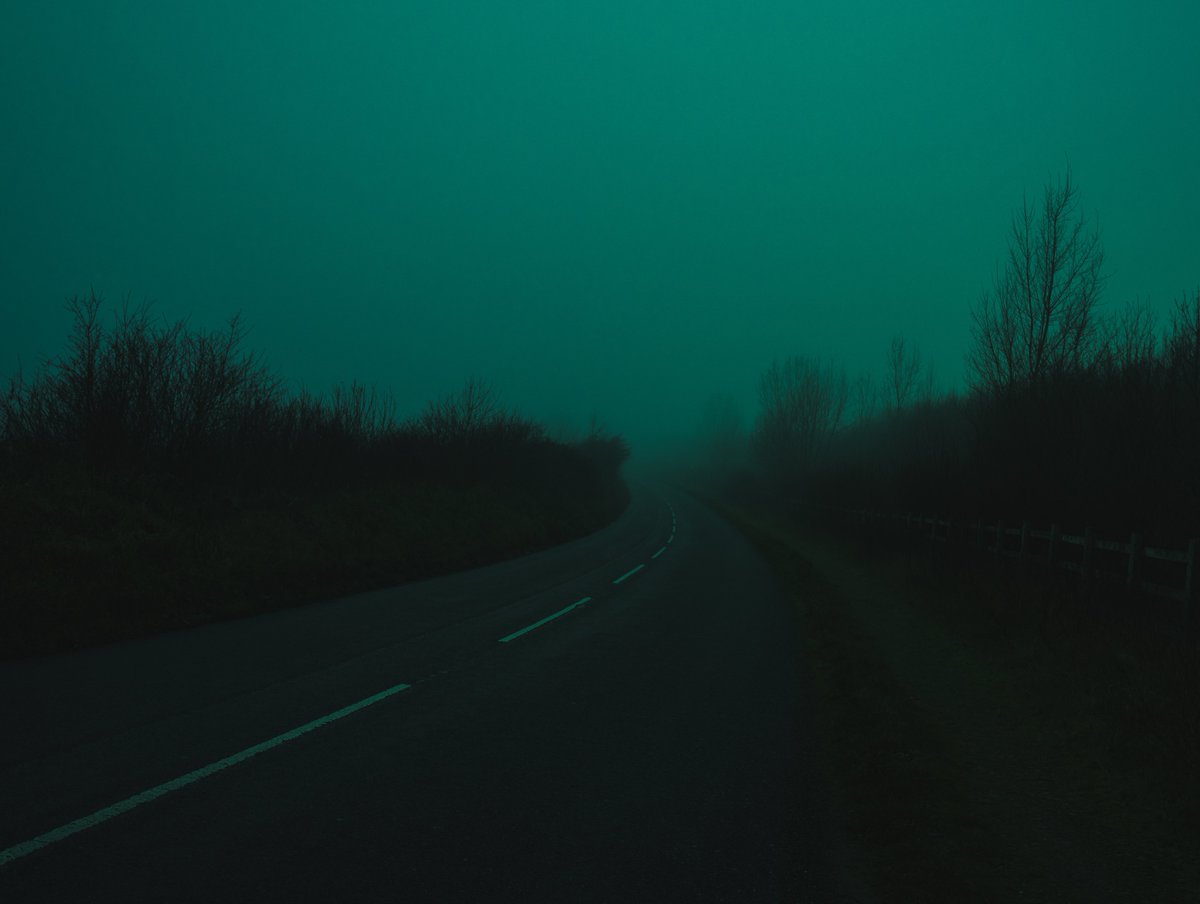 zosphotos's tweet photo. Green Sundays https://t.co/68idlnYpHu