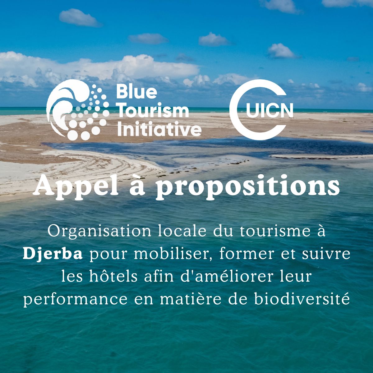 🚨2 funding calls by <a href="/IUCN/">IUCN</a> to transform the #HospitalitySector on the island of #Djerba, Tunisia into a driver of positive #EnvironmentalChange

1⃣Call for a #BiodiversityConsultant
2⃣Call for a local #TourismOrganisation

🗓️Apply by 8 May '25
Info👉shorturl.at/XrCTr