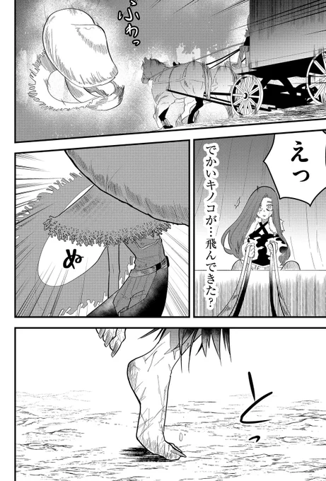 ↓(1/2) 