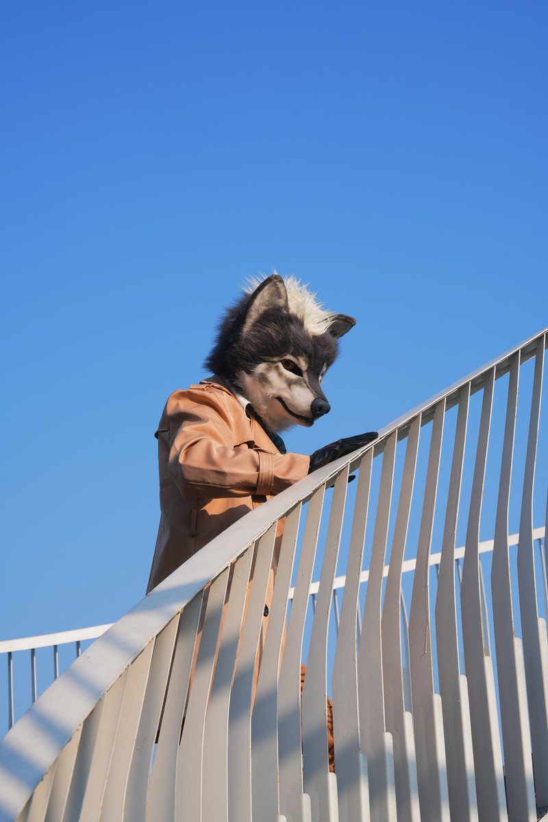 #furry #fursuit #FursuitEveryday #FursuitFriday 
📷：<a href="/JoshBeikal/">Beikal</a>