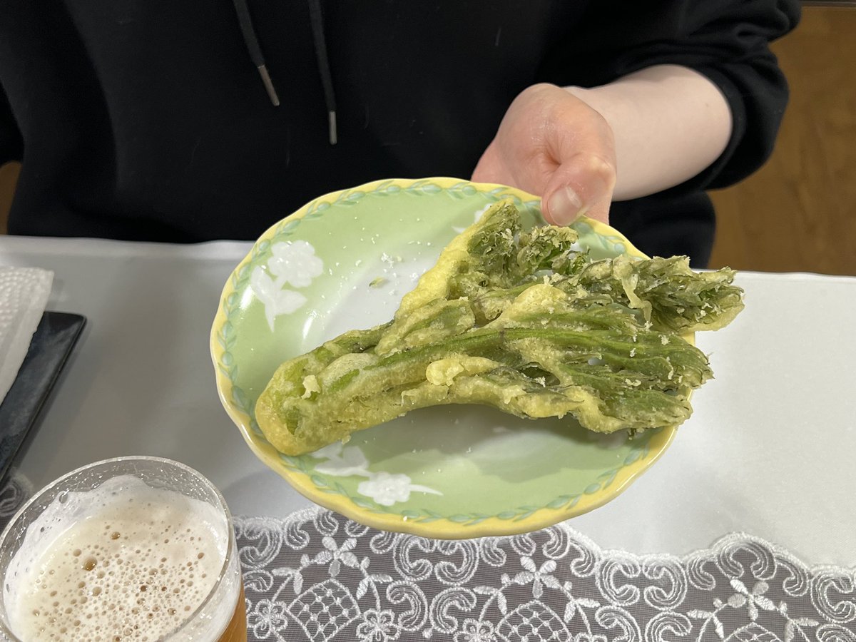 東京で「たらぼ（タラの芽）の天ぷら」を食べる機会があると、妻はいつも「えっ？これがたらぼ？小さくない？」などと、まるで『美味しんぼ』に出てきそうなセリフを発していたが、最近妻の実家で採れたたらぼを見て、やっとその理由がわかった。