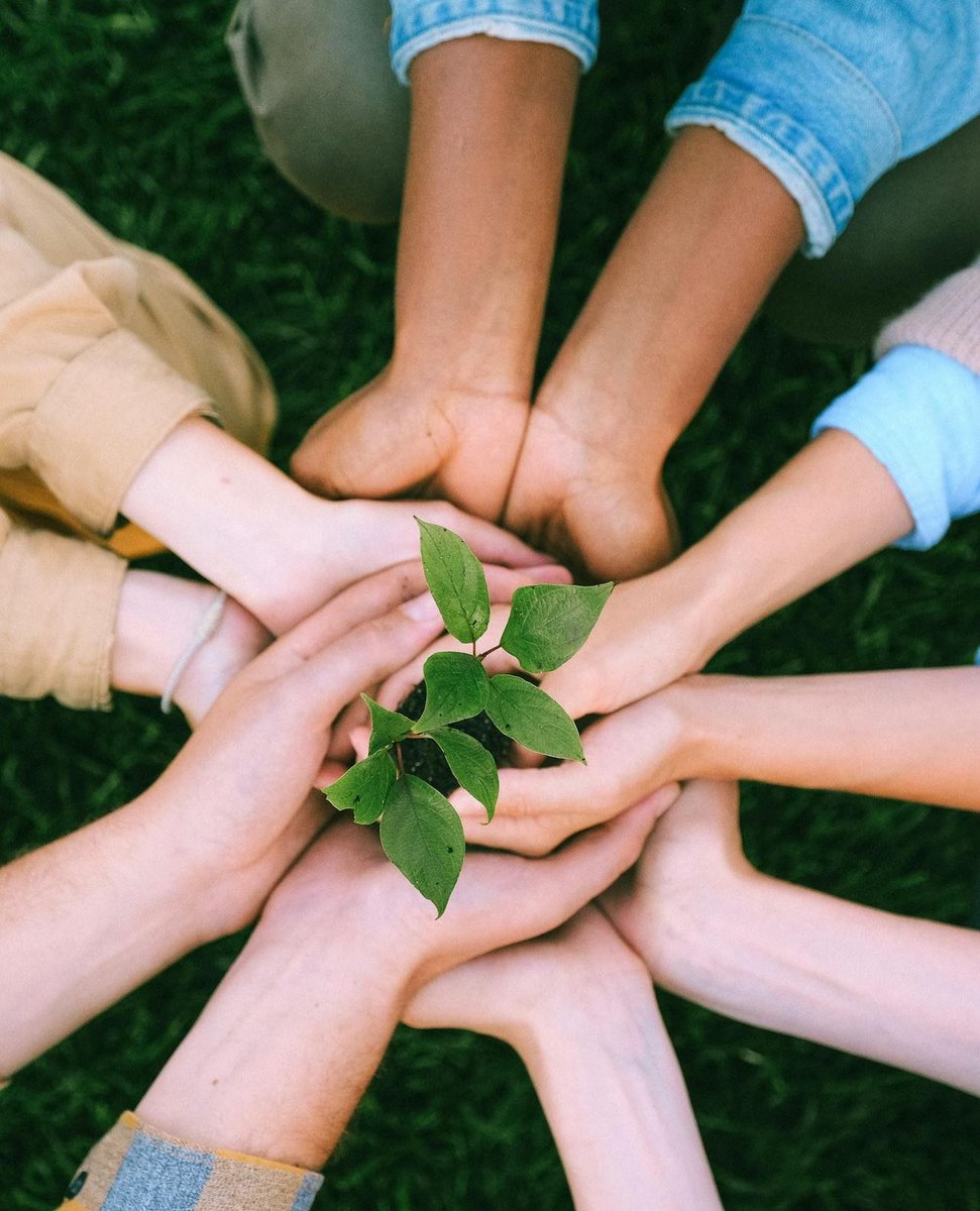 "The Earth is what we all have in common."
⁠
— Wendell Berry.⁠
⁠
A reminder that we’re all rooted in the same place. Caring for the planet means caring for each other. And that endings can help something new begin.

#BackToNature⁠
⁠
📸 Anna Shvets / Pexels