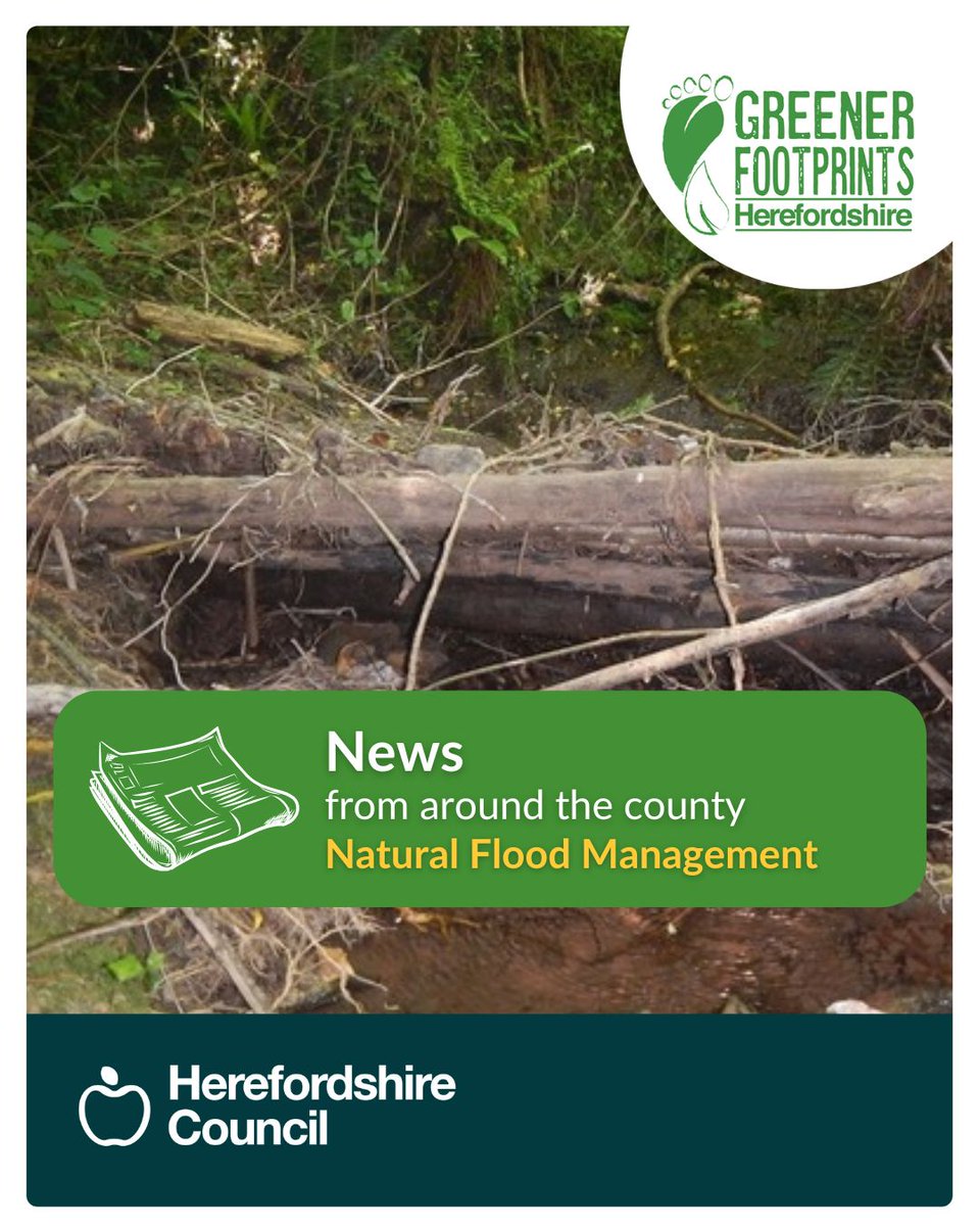 Read the latest on Herefordshire Council’s Natural Flood Management (NFM) Project in this recent newsletter! orlo.uk/qc1S1

This season’s newsletter includes information on:
💧 Leaky Dams 
🌱 Meadow restoration
👩‍🌾 Actions to take on your farm or garden