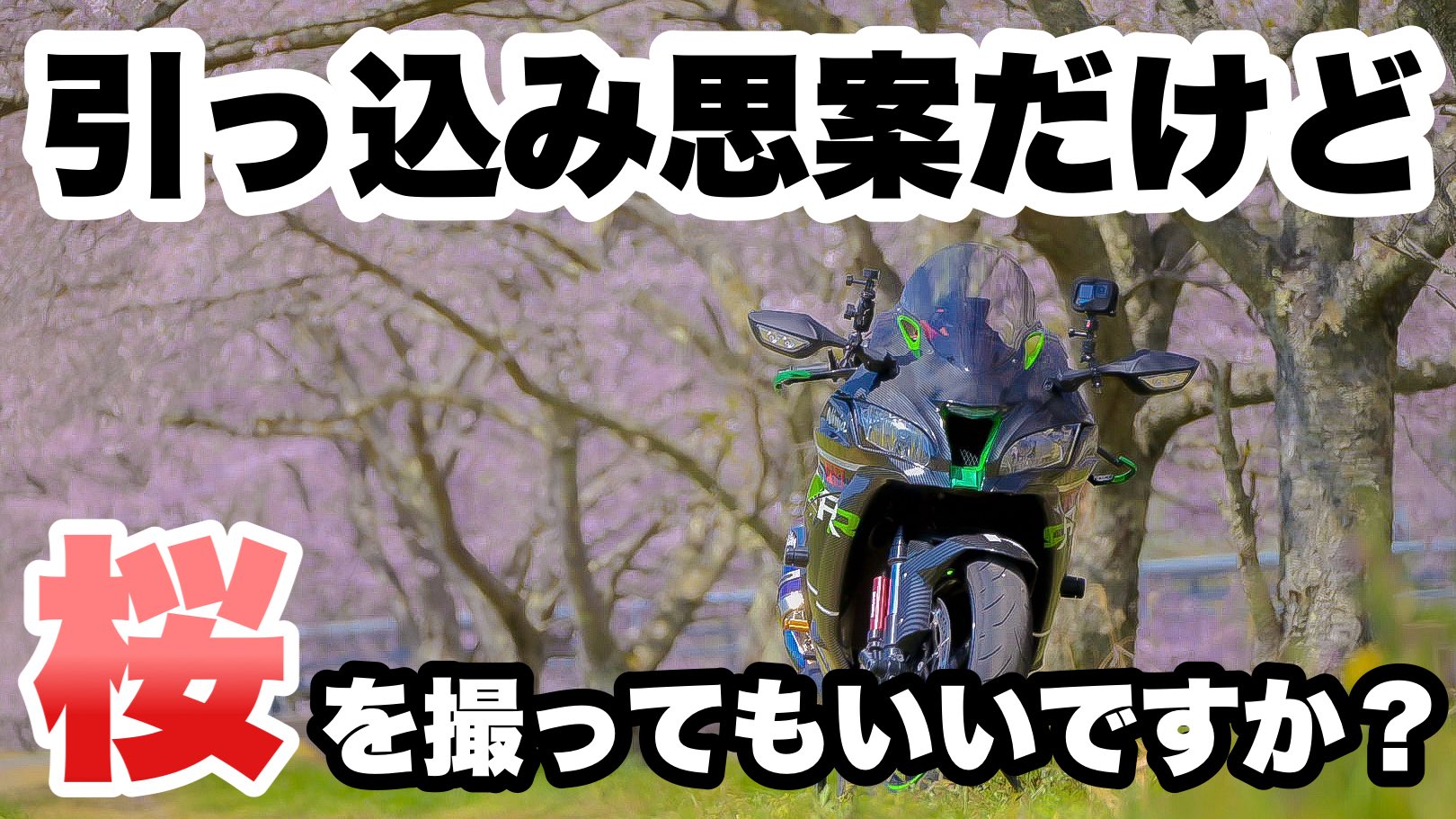 KOTᗩᖇOᑌ🌵【こたろう】 (@kotaninja_zx10r) / X