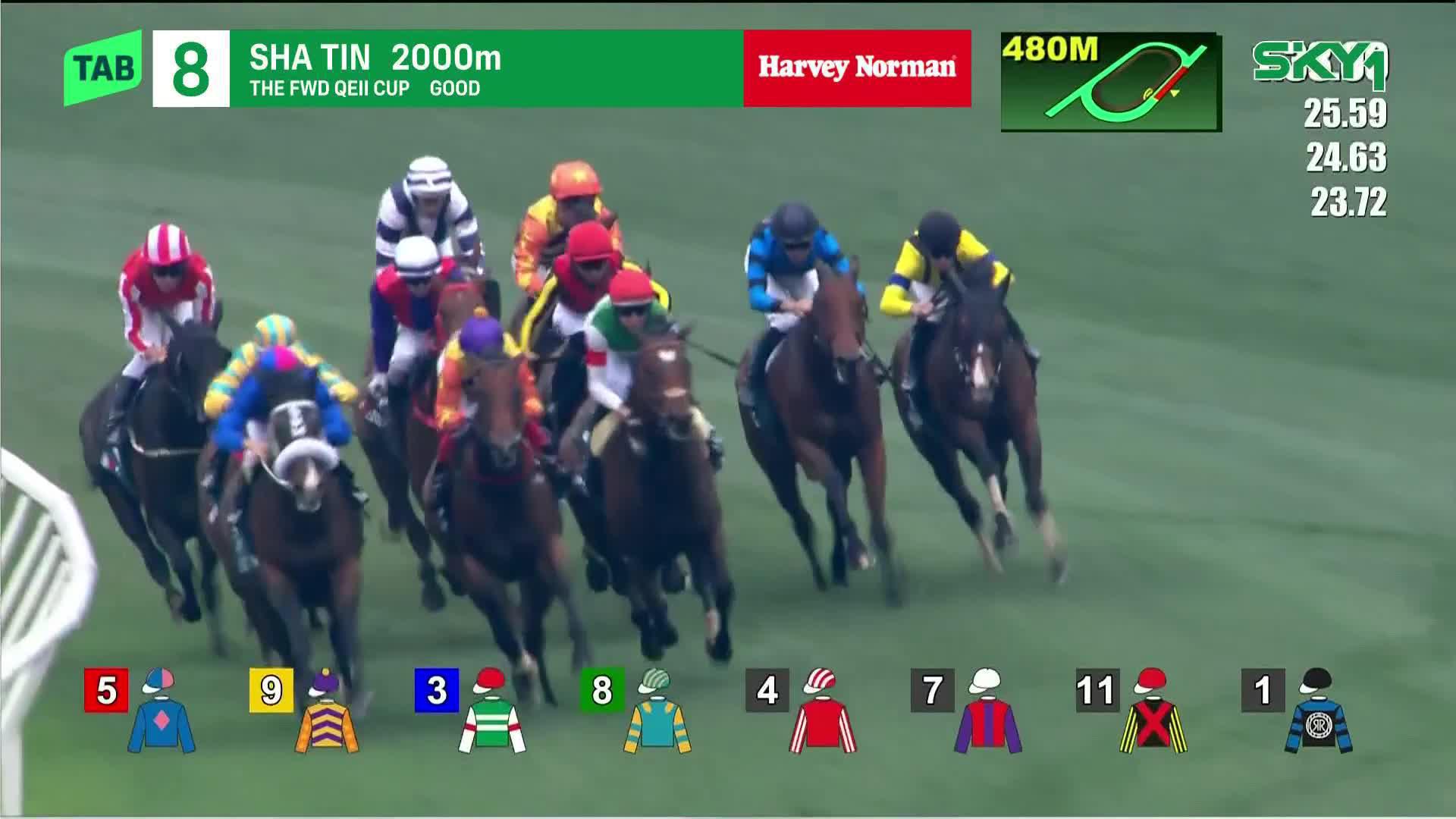 タスティエーラ ホースレーシング カード QE2世C シリアル08/50 競馬