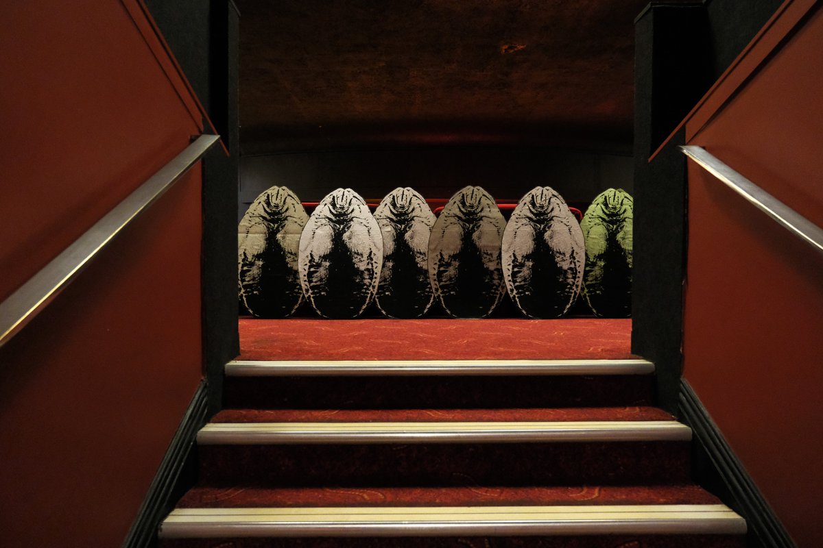 Tuftenstein tweet media