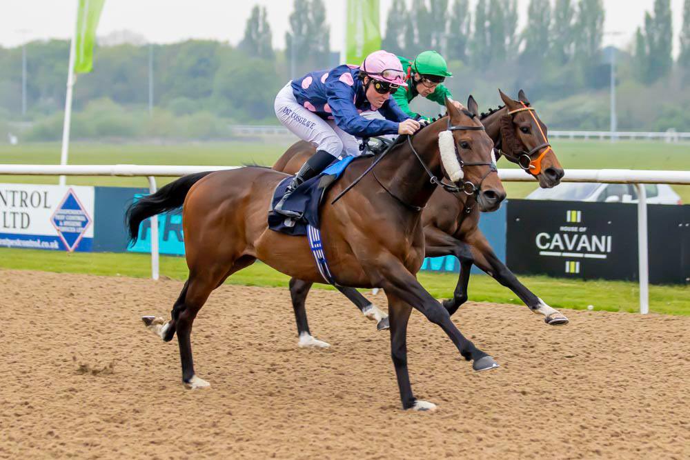 Kevin Philippart de Foy Racing (@kpfracing) on Twitter photo 🟣🔵CREST OF LIGHT🔵🟣 🥇WINS 🥇 easily under a brilliant ride from <a href="/patcosgrave/">pat cosgrave</a> <a href="/WolvesRaces/">Wolverhampton Races</a> making it the geldings second WIN this year! Congratulations to all winning connections <a href="/CrestRacing1/">Crest Racing</a> and to all our team at home 👏 #kpfracing #winner #horseracing #loveracing 🟣🔵CREST OF LIGHT🔵🟣 🥇WINS 🥇 easily under a brilliant ride from <a href="/patcosgrave/">pat cosgrave</a> <a href="/WolvesRaces/">Wolverhampton Races</a> making it the geldings second WIN this year! Congratulations to all winning connections <a href="/CrestRacing1/">Crest Racing</a> and to all our team at home 👏 #kpfracing #winner #horseracing #loveracing