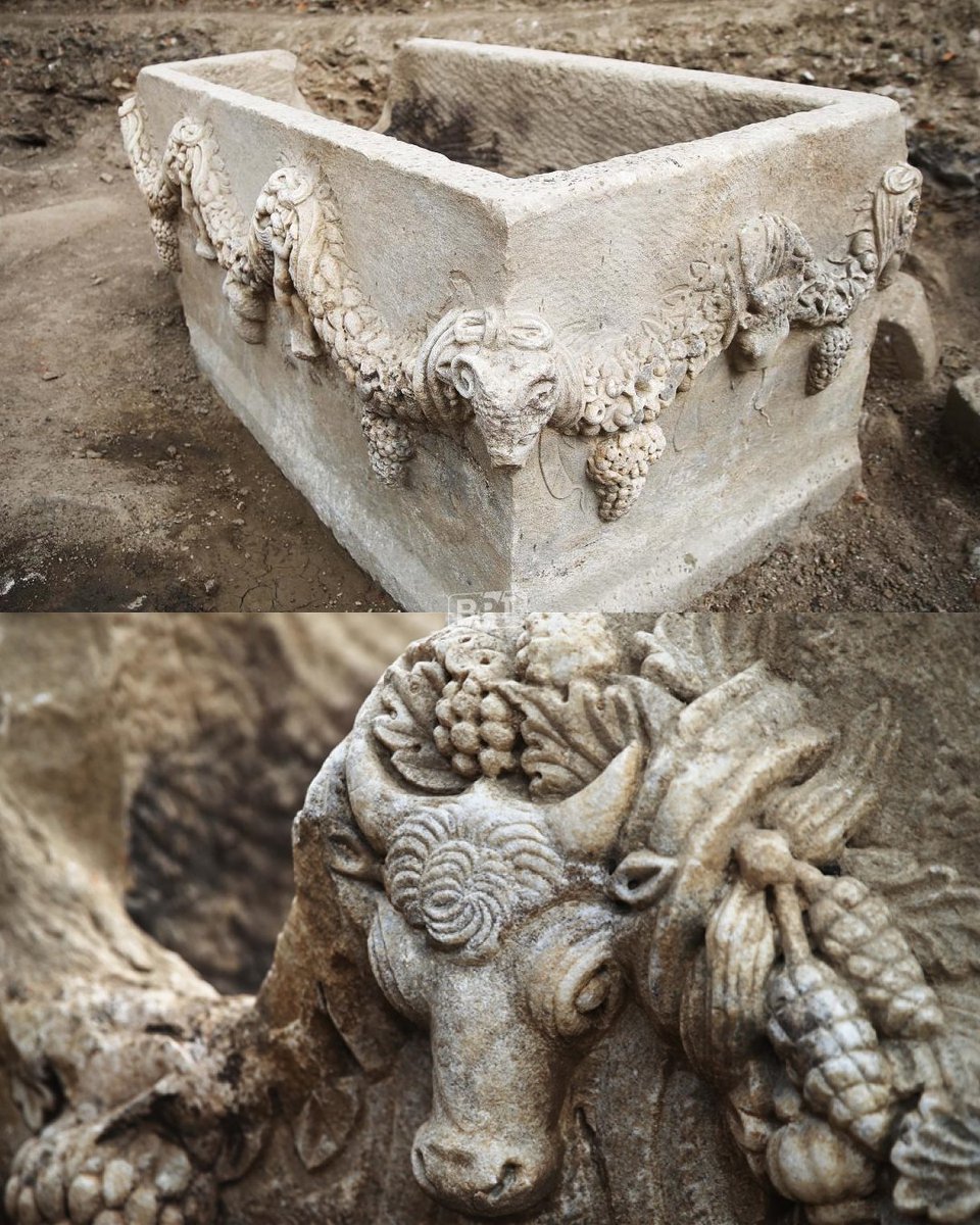 Muğla'nın Yatağan ilçesindeki Stratonikeia Antik Kenti'nde yürütülen kazı çalışmalarında 2 bin yıl öncesine ait girlandlı lahit bulundu.