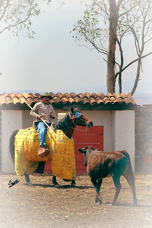 Ganaderia San JUDAS Tadeo en Tepeji del Río Hgo.