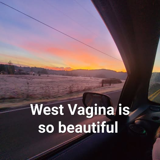 NemoFSharp's tweet image. 