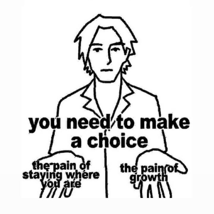 stardust tweet media