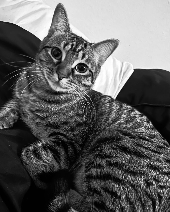 Duoplicate's tweet photo. ㅤ️

Say hello to my new friend, Ben Dover

ㅤ️ https://t.co/npyOEfB6Xp