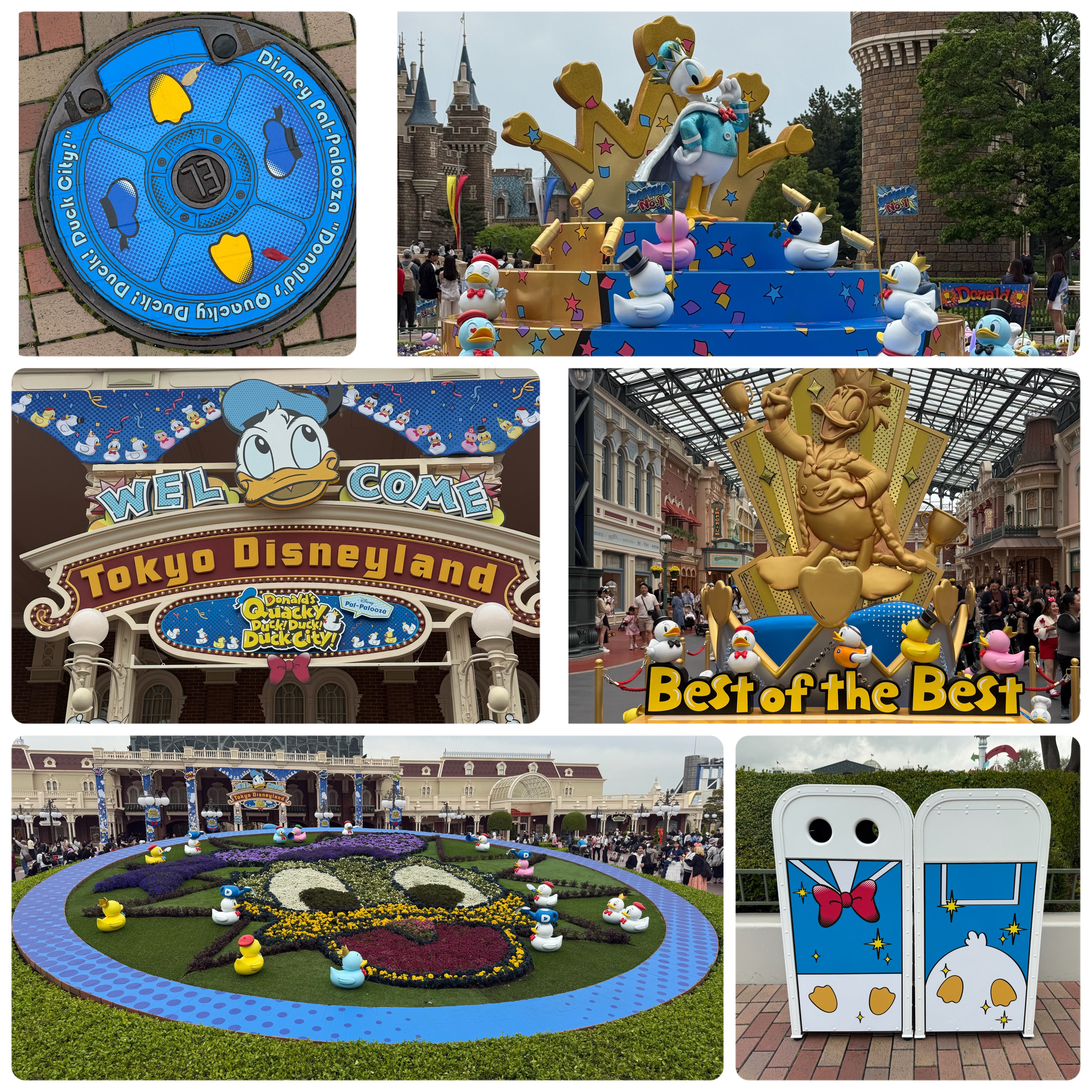 超貴重】ドナルドダックのハガキ＋α 超貴重】ドナルドダックのハガキ