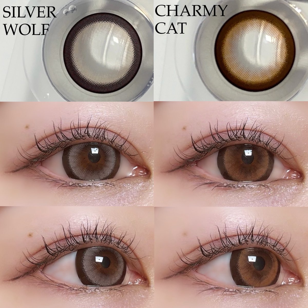 #PR #リリーアンナ

せいせいちゃんプロデュースのギャルカラコン、RESAYから新色が4/30に発売！
シルバーウルフ🐺クールなグレー
チャーミーキャット🐈愛らしいブラウン
着色直径14.2mmと圧倒的な存在感を放つカラコンです♡

#リセイ #シルバーウルフ #チャーミーキャット #カラコン #カラコンレポ