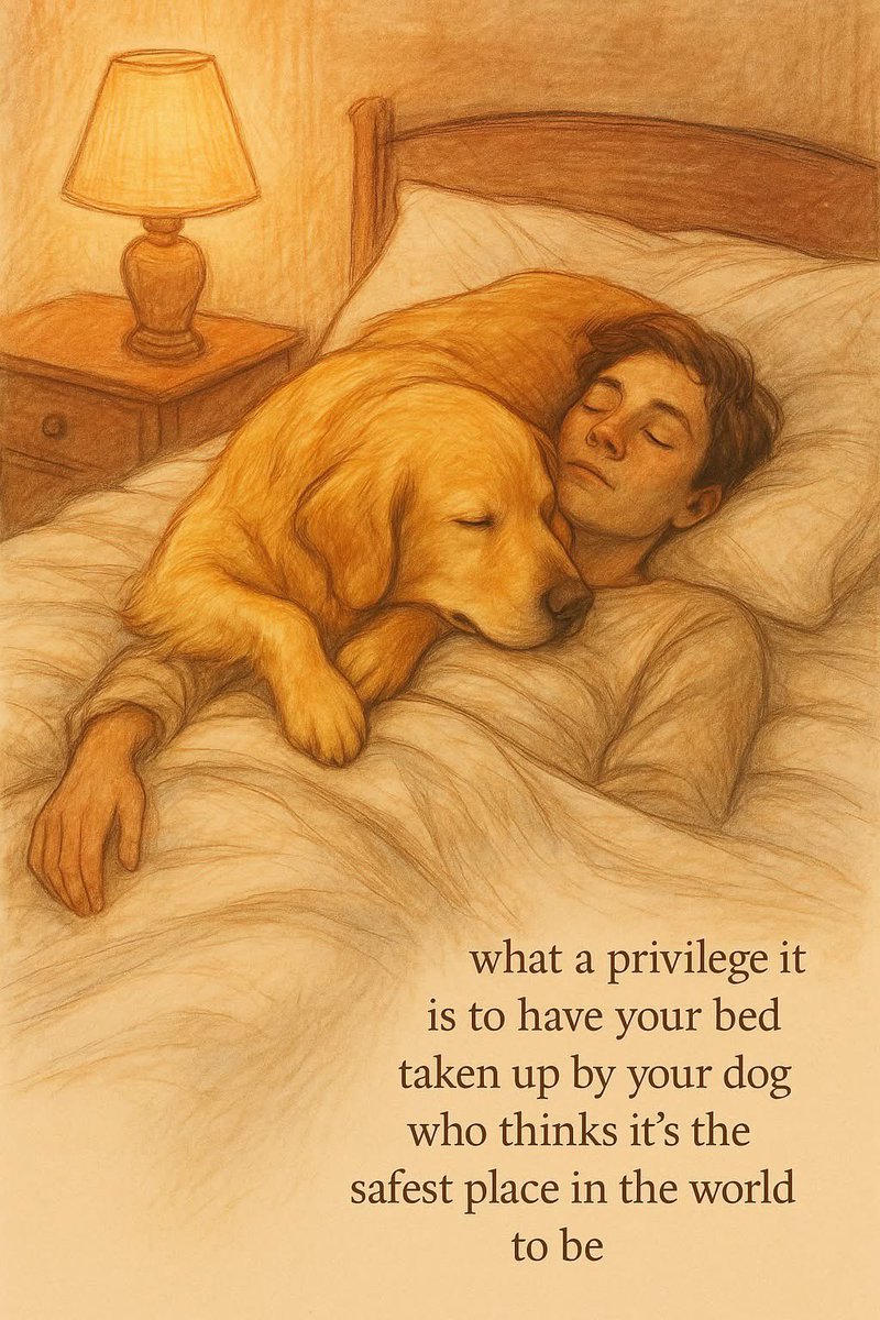 Puppies 🐶 (@puppiesiover) on Twitter photo 