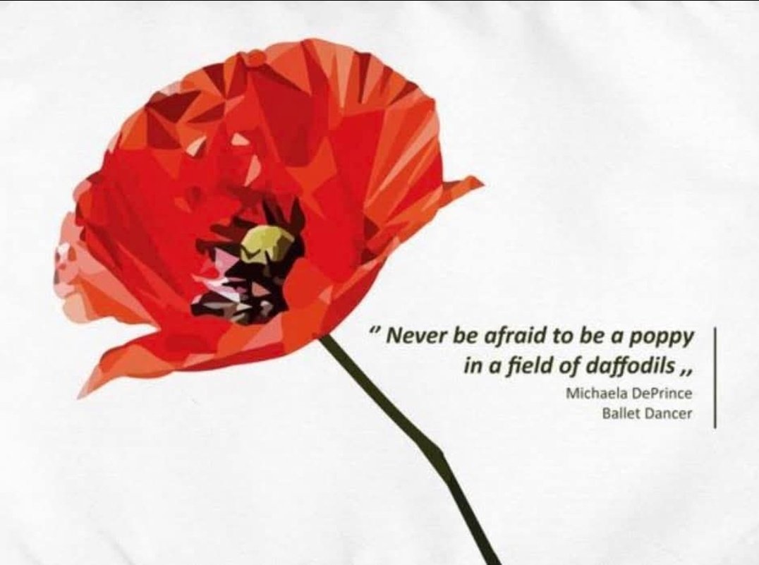 Kavya_Ras's tweet photo. #Poetic_Window 

"Never be afraid
to be a poppy in
a field of daffodils..

#MichaelaDePrince
(Ballet Dancer)

#Quote #Unquote
(With Due Credit
To The Source) https://t.co/UH3yA38MYE