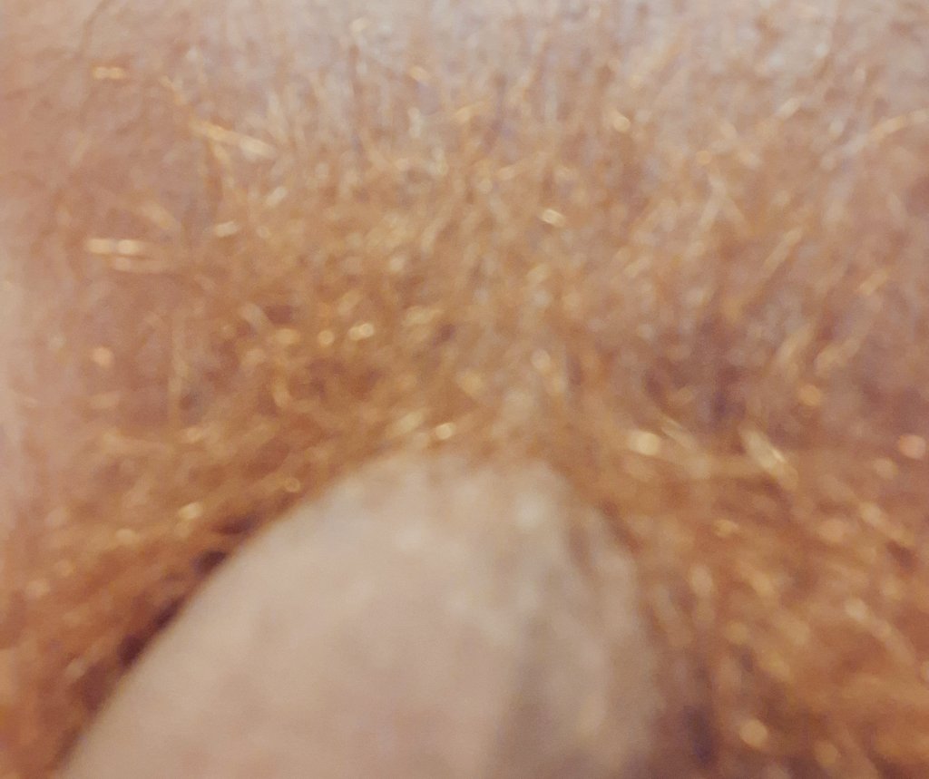 ayayeh3101's tweet photo. 🤭🤭🤪
Gold https://t.co/ftfKgAQJJz
