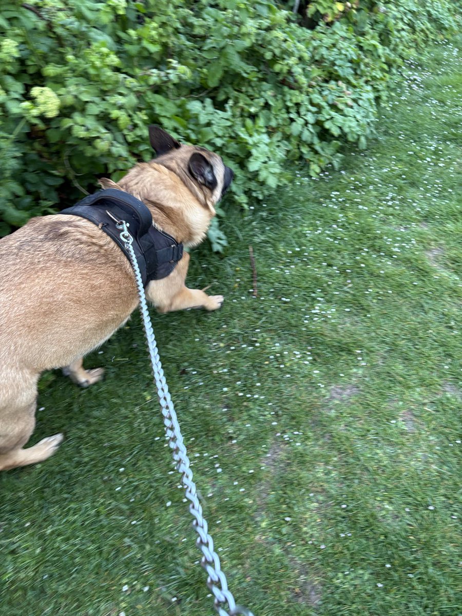 Stuart Benfield tweet media