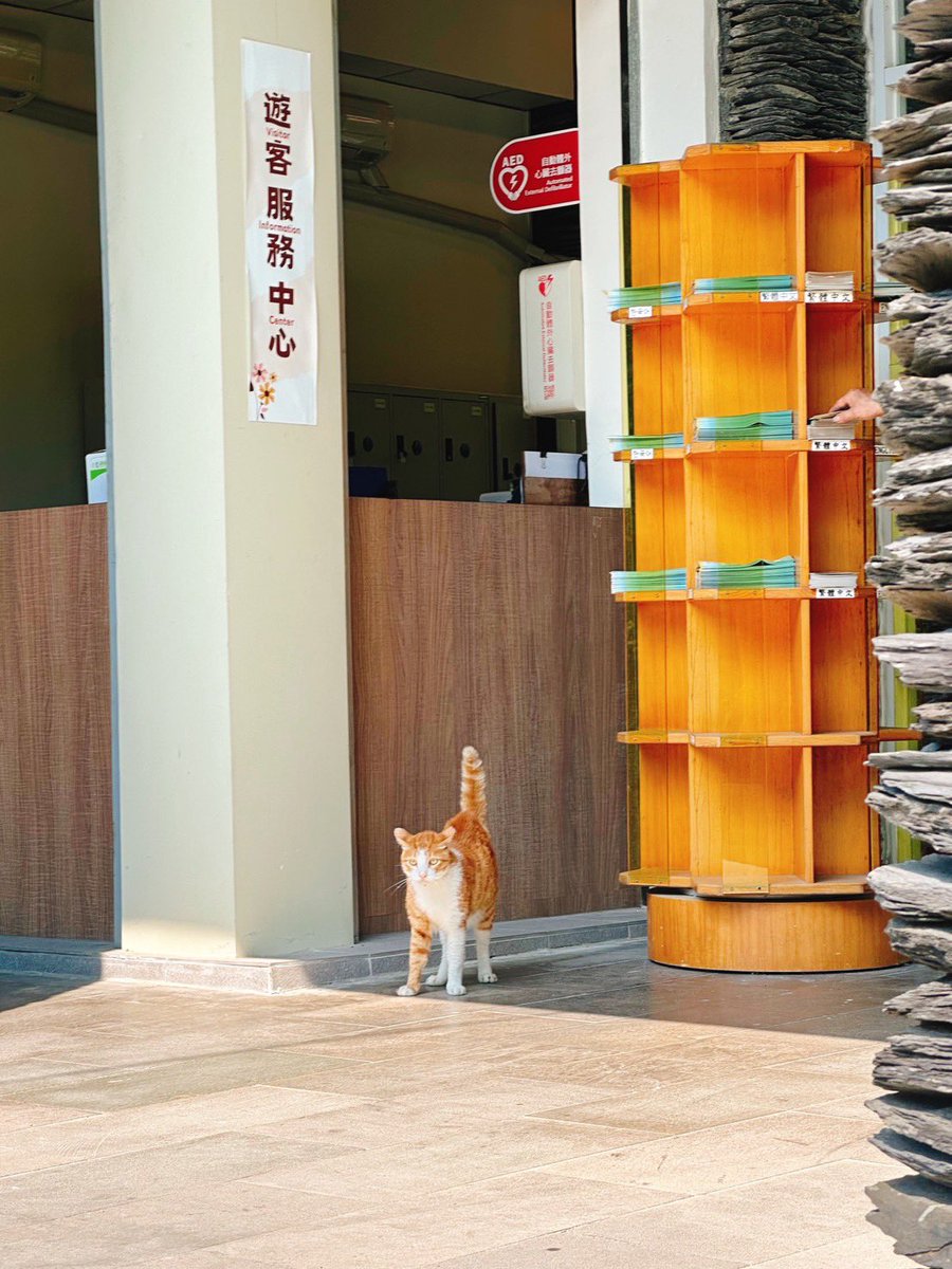 遊客服務中心的服務員看起來很派，怎麼辦？