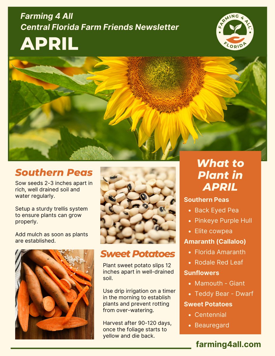 Farming4AllFL's tweet photo. April newsletter for Central Florida subscribe at https://t.co/5veaaOE2SC https://t.co/reyvjzP2nR