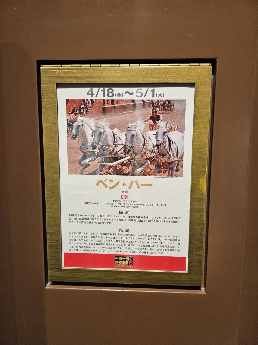 くっきー@4/23 Cyndi Lauper FAREWELL TOUR in 日本武道館 くっきー@4/23 Cyndi Lauper FAREWELL TOUR in 日本武道館