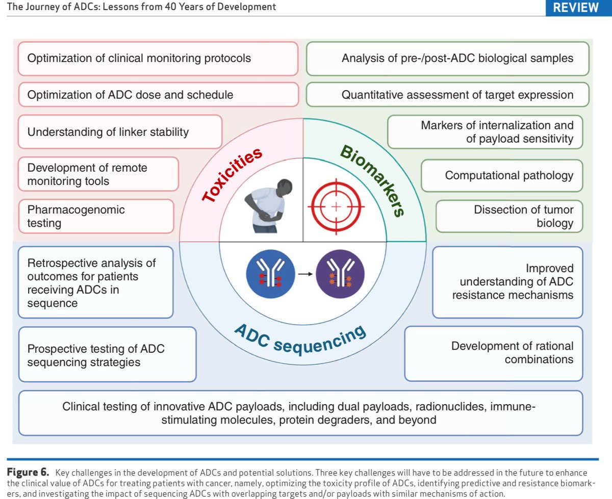 Goutham Sunny (@medoncodoc) on Twitter photo The ultimate ADC review! 40 years of ADC. Must read for residents.
10.1158/2159-8290.CD-24-0708
<a href="/tuttsakhil/">Dr Akhil Santhosh</a> <a href="/drvineetgovinda/">Dr Vineet Govinda Gupta</a> <a href="/shaunak_3/">Valame MD DNB</a> <a href="/SuyogCancer/">Dr Amol Akhade</a> <a href="/todrashish/">Ashish Singh</a> <a href="/jtgeorgy/">Josh Thomas Georgy</a> <a href="/ajoyojohn/">Ajoy Oommen John</a> The ultimate ADC review! 40 years of ADC. Must read for residents.
10.1158/2159-8290.CD-24-0708
<a href="/tuttsakhil/">Dr Akhil Santhosh</a> <a href="/drvineetgovinda/">Dr Vineet Govinda Gupta</a> <a href="/shaunak_3/">Valame MD DNB</a> <a href="/SuyogCancer/">Dr Amol Akhade</a> <a href="/todrashish/">Ashish Singh</a> <a href="/jtgeorgy/">Josh Thomas Georgy</a> <a href="/ajoyojohn/">Ajoy Oommen John</a>
