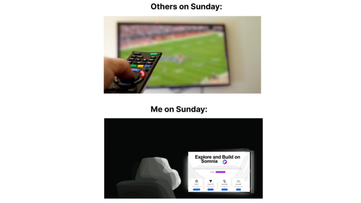 Somnia - a Fully Onchain World (@somnia_network) on Twitter photo 