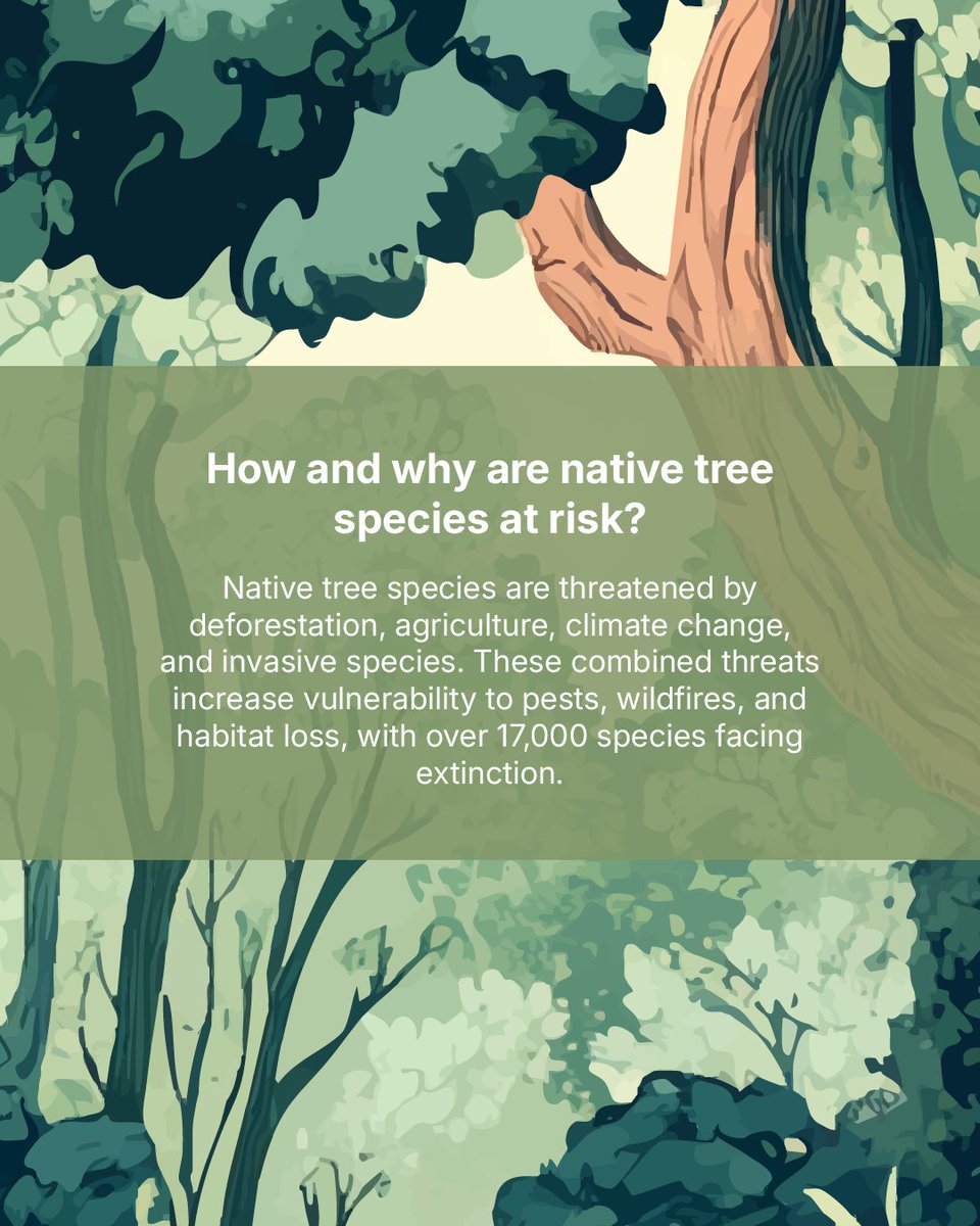 CIFOR-ICRAF tweet media