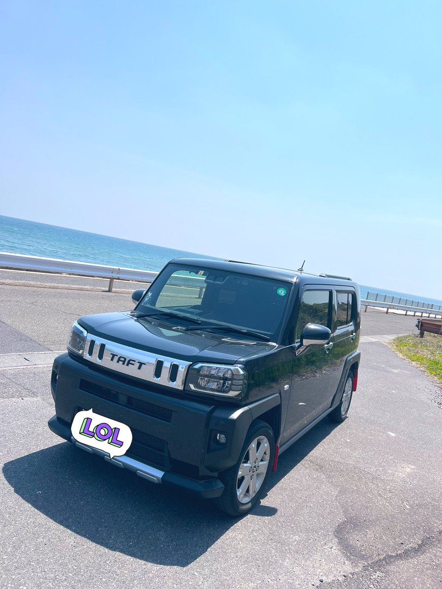 maa0604_TAFT's tweet image. 天気良くてつい海に🌊！！

 #タフト
 #TAFT