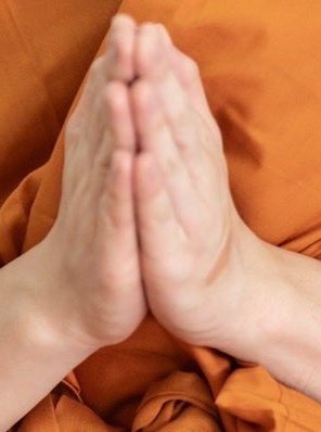 APHIN_NAKA tweet picture
