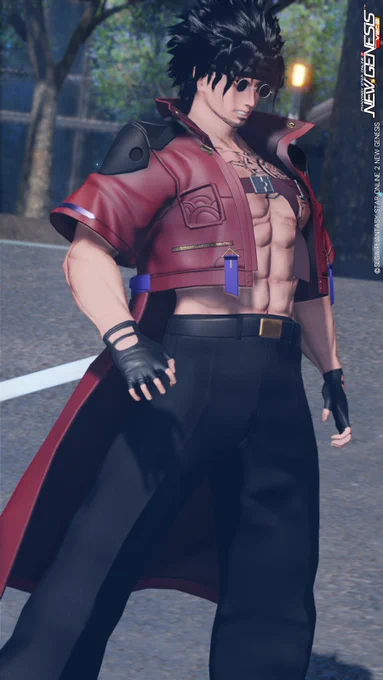 立ってるだけで良い#PSO2NGS_SS 