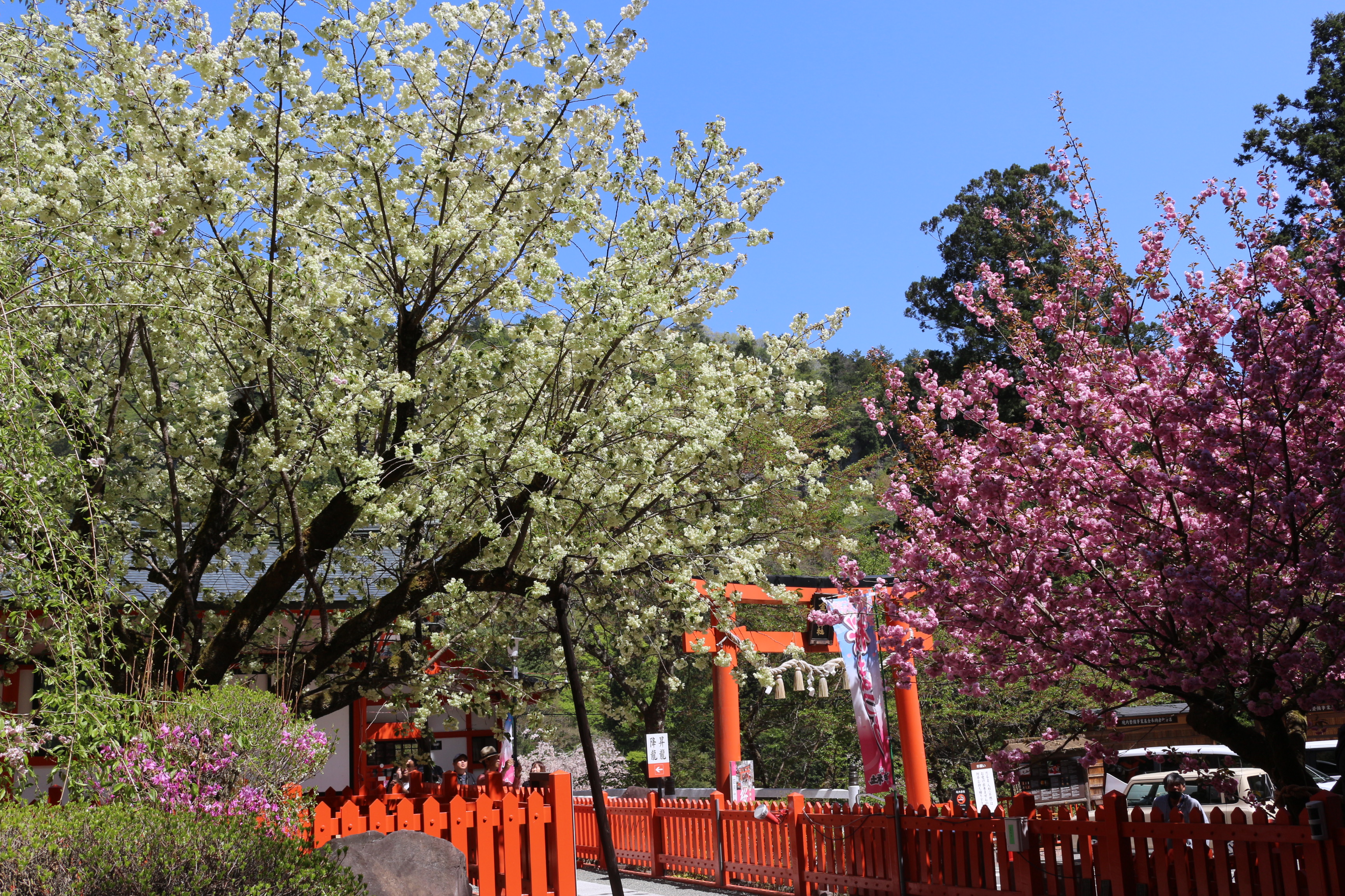 御嶽山 金櫻神社【公式】 on X: 御嶽山 金櫻神社【公式】 on X: