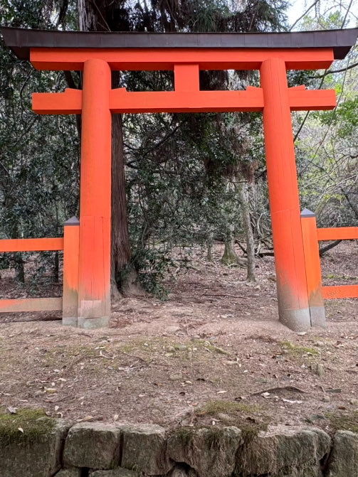 J M Pérez Ríos tweet media