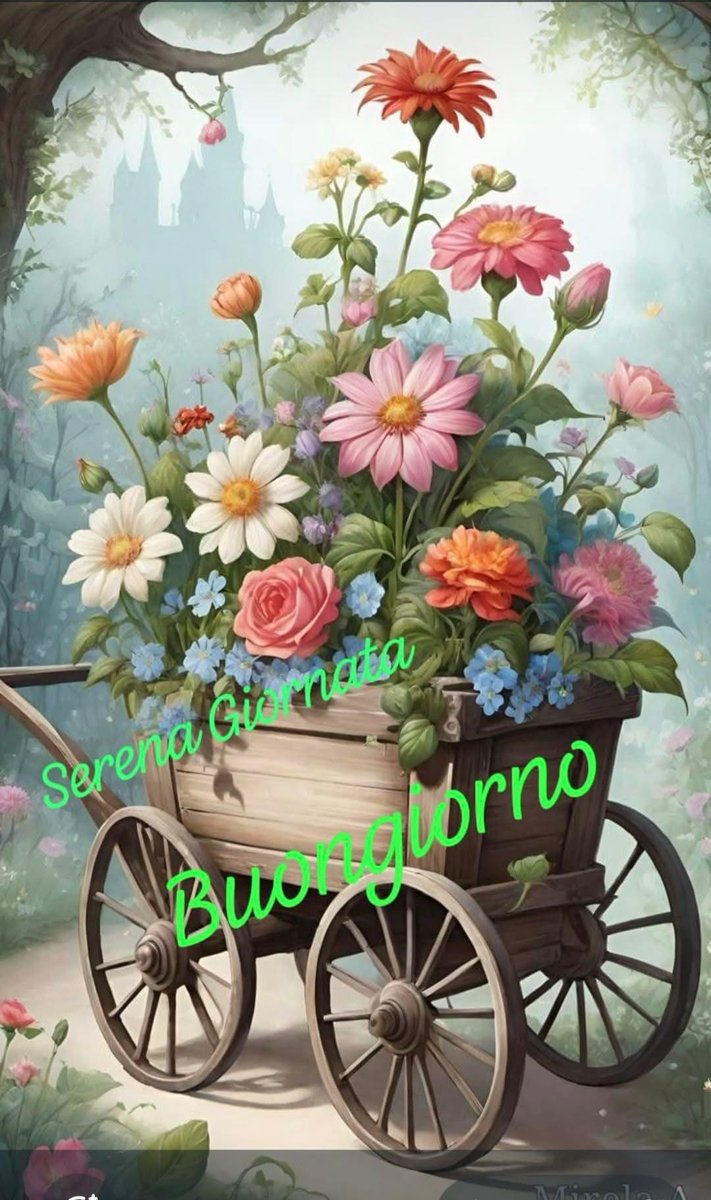 Marianna tweet media