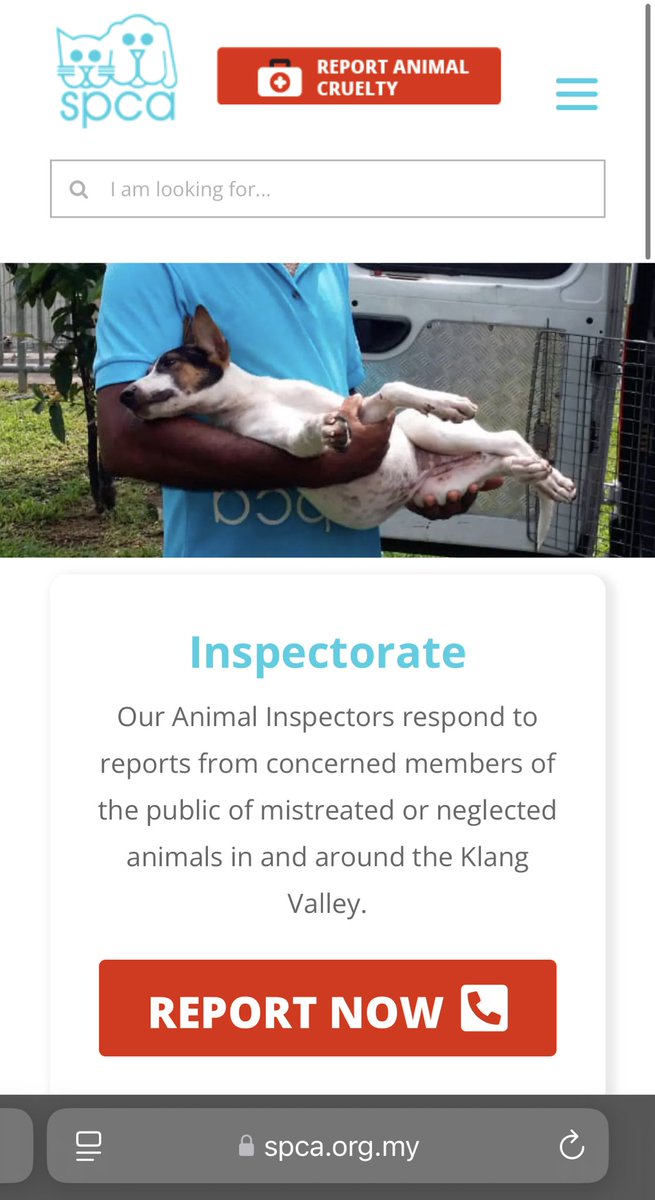 805shay's tweet photo. @dearsln if theres a specific address (preferably with the house number) pls make a report to spca, ive done it before and they respond very promptly https://t.co/30pMRAeK67