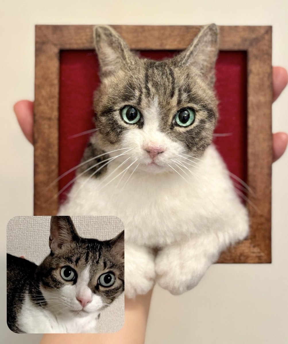 ねこちゃ出品 71Zr9EY5IsL._UF350,350_QL80_.jpg