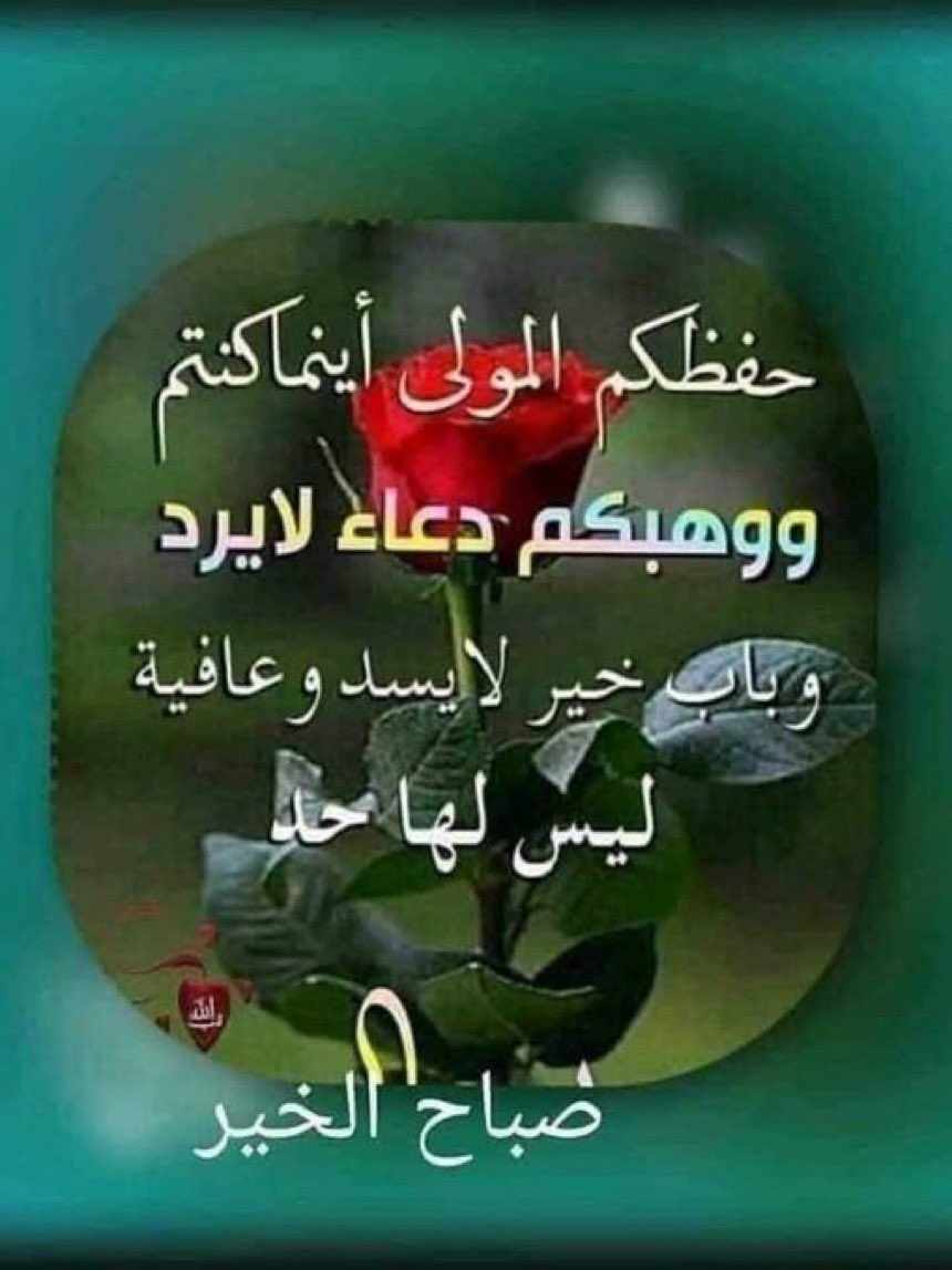 أسأل الله العظيم 
أن يرزقني وإياكم 
بصيرة يُنِير بها دروبنا.. 
وأن يهبُ لنا سكينة
 يشرح بها صدورنا 
وأسأله أن يَمُنّ علينا بعافية 
ليس بعدها ضرر
 وأن يكرمنا بنعيمٍ 
ليس بعده كدر.. 
وأن يجمعنا ووالدينا 
ومن نحب بجوار خير البشر
 صلّ الله عليه وسلم 

#صباحالخير