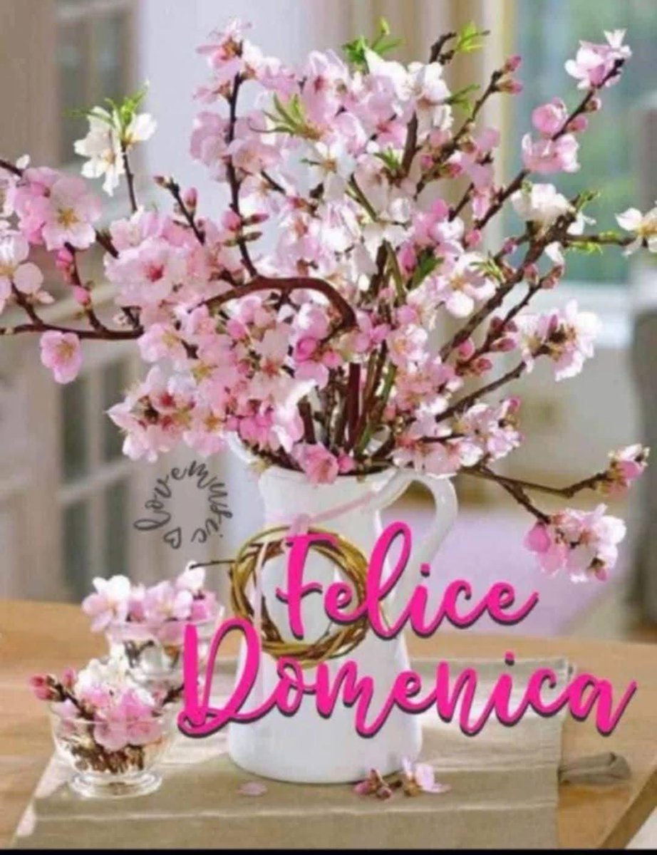 RITABIANCHi56 tweet media