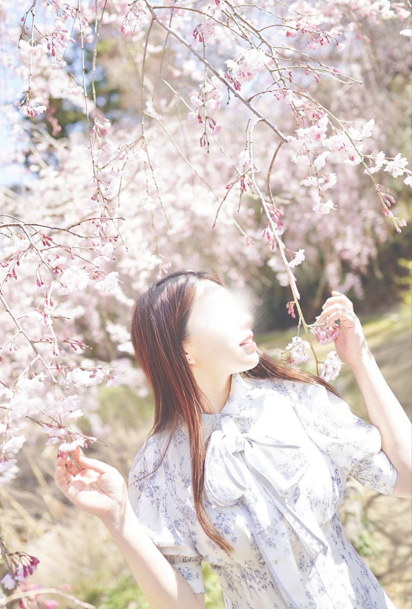 「さよなら」じゃなくて「またね」って言って。

model:akane
24mm f1.4 GM
#桜ポートレート  #散桜