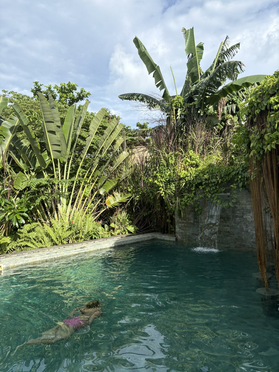 SierraInMotion1's tweet photo. Weekend getaway🤎🍃 https://t.co/IWcaQxfUmT