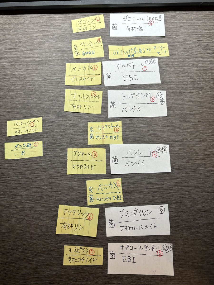 手持ちの殺菌、殺虫剤の整理をして今年のローテーションを考えた🧐気温が上がるとダコニールとサンヨールが使えなくなるからもうちょい考えねば