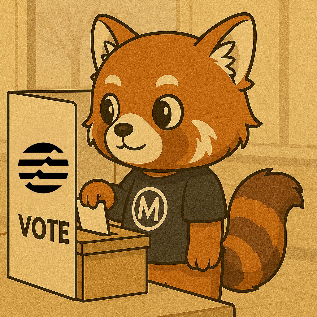 mm_xiaohong's tweet photo. @Aptos Ready to vote https://t.co/RgU2yuiY69