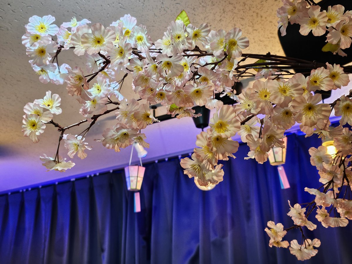 b7otEQck6p53258's tweet photo. #StudioWith にて #お花見ライブ昼桜  行って来ました♪スタジオ内は綺麗に桜が咲き🌸そこへ瞬桜が花弁が舞うように🎹の音色と歌声が…♪🌸✨🌸♫
素敵な時間をありがとう…✨🥰
#大野瞬 https://t.co/h8i53iUec5