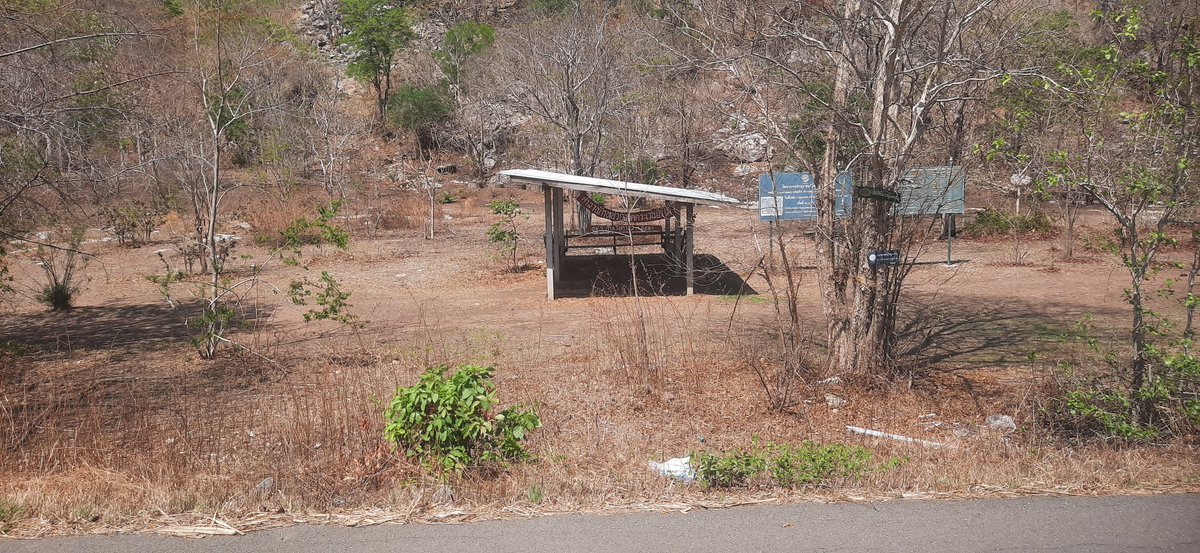 แอบซุ่มในมุมมืด tweet media