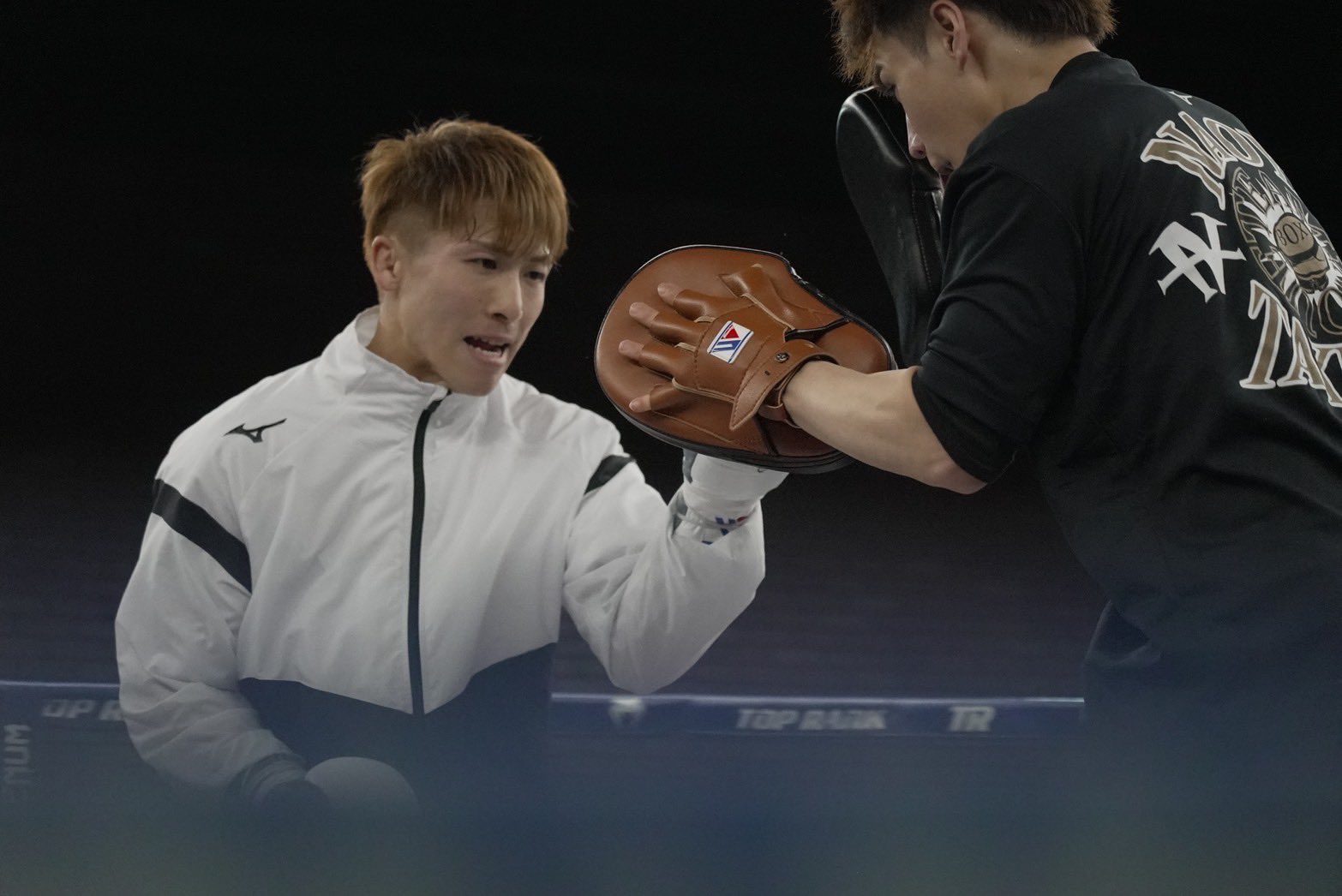 井上尚弥 VS ドヘニー 非売品 扇子 クッション - スポーツトイ