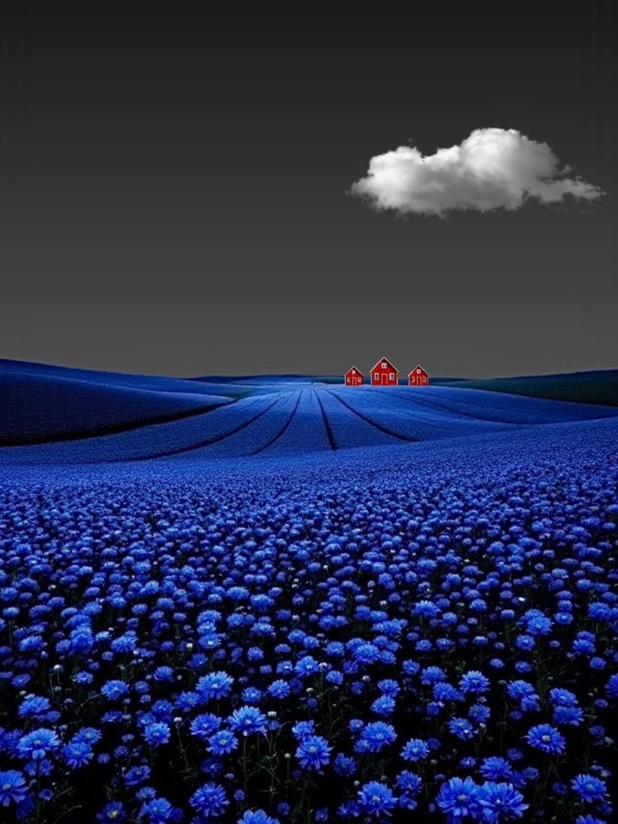 All our final decisions 
are made in a state of mind 
that is not going to last. 

Proust ~ In the Shadow of...

.
Sax
youtu.be/k_ettCQaqWE?si…
.